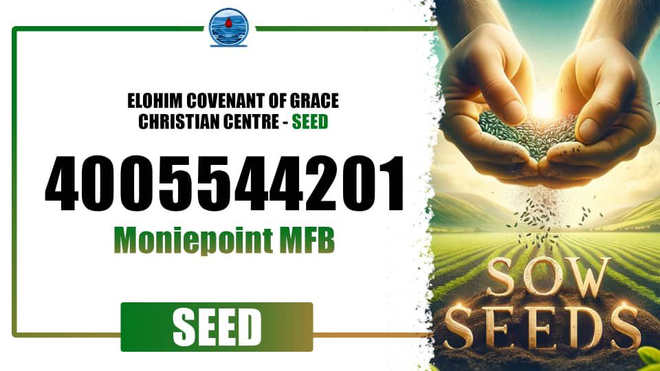 Seed Offering